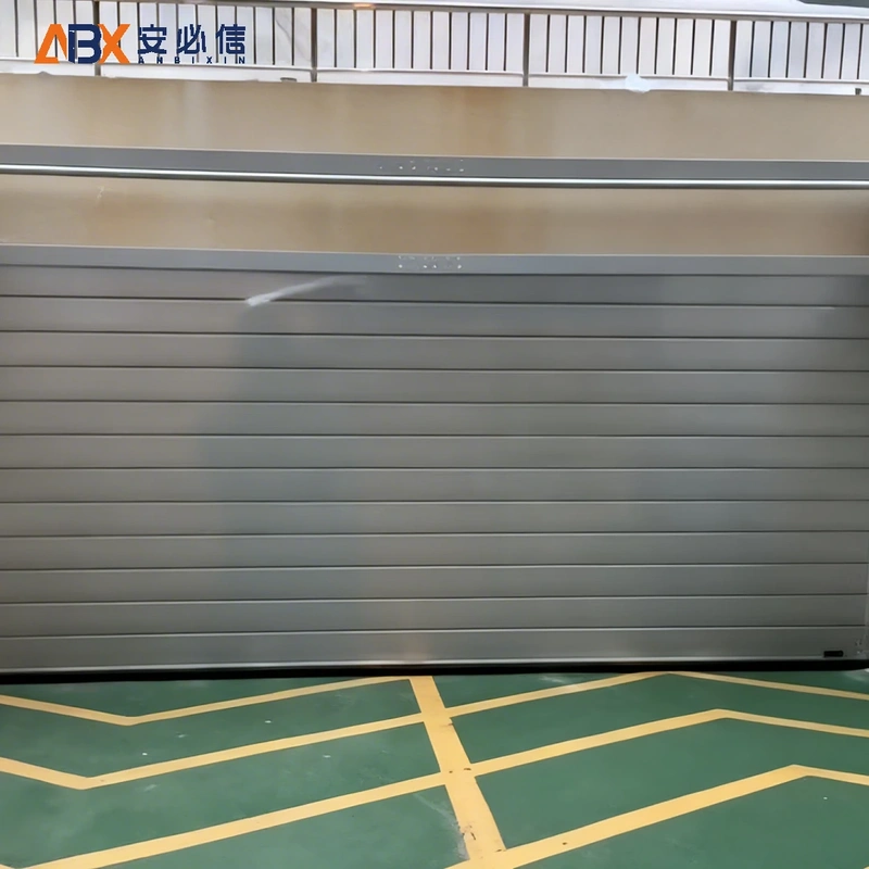 山南市感应高速门